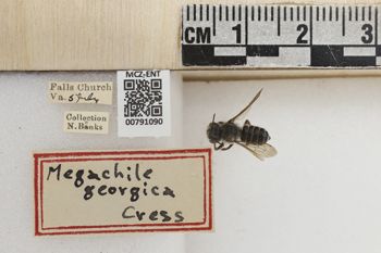 Media type: image;   Entomology 791090 Aspect: Labels